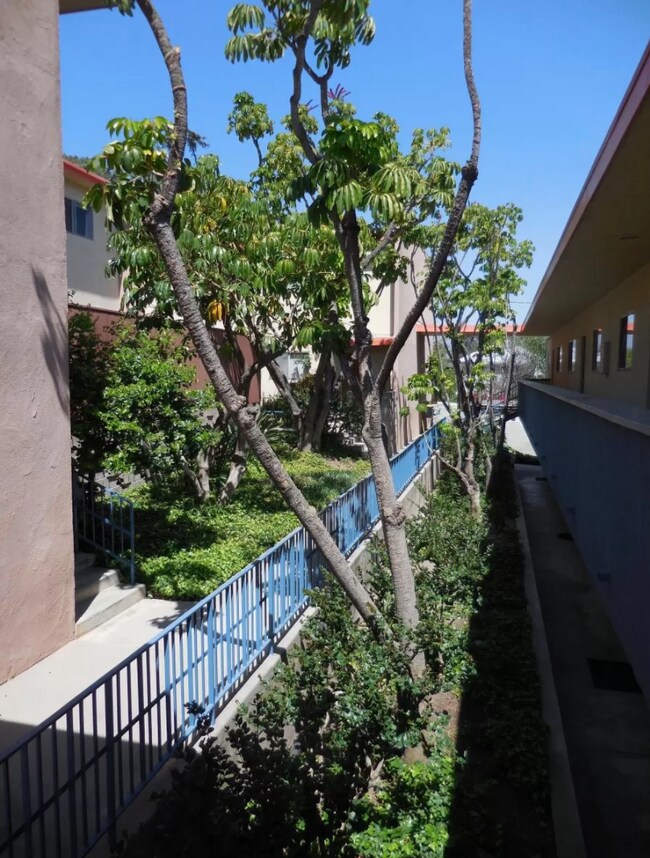 Foto del edificio - 2004 Apex Ave