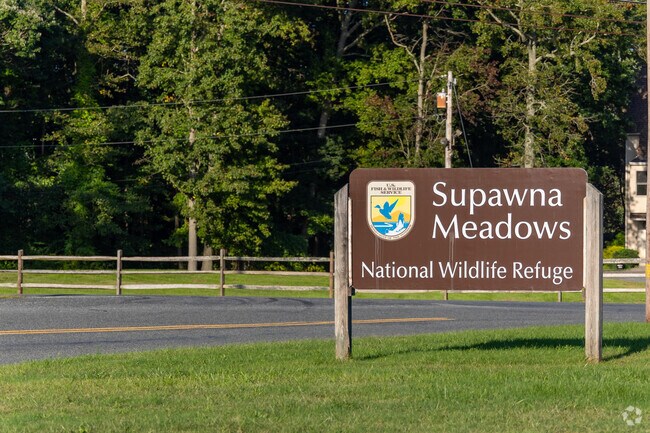 Explore the native species of Supawna Meadows Wildlife Refuge just minutes from Salem.