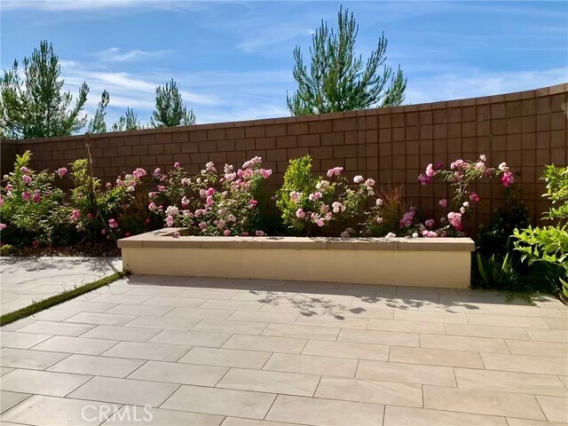 Foto principal - 101 Sprig