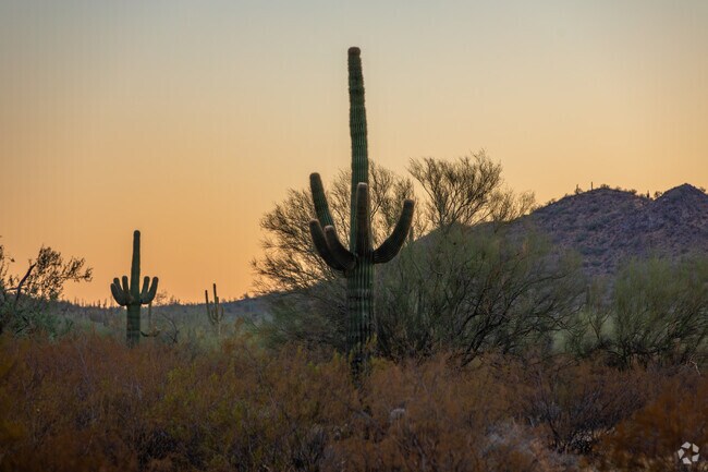 Immerse yourself in the rugged beauty of Arizona's landscape.