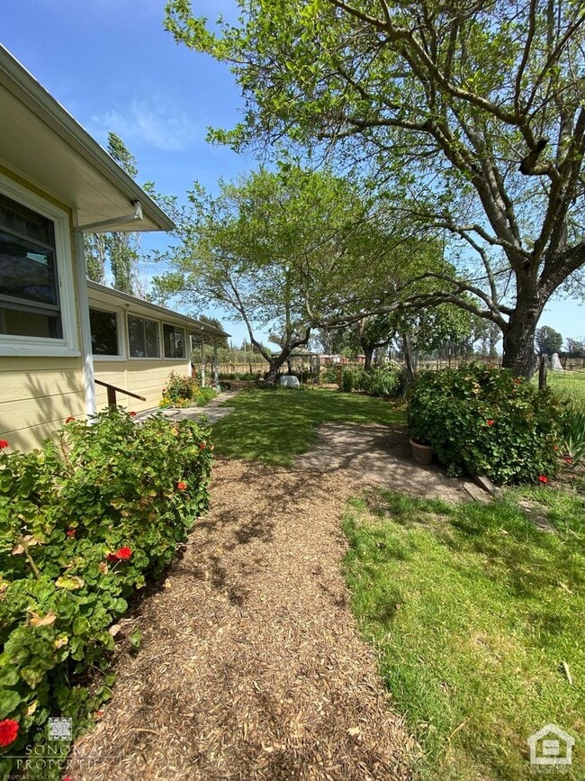 Building Photo - Country Farmhouse in Sonoma!