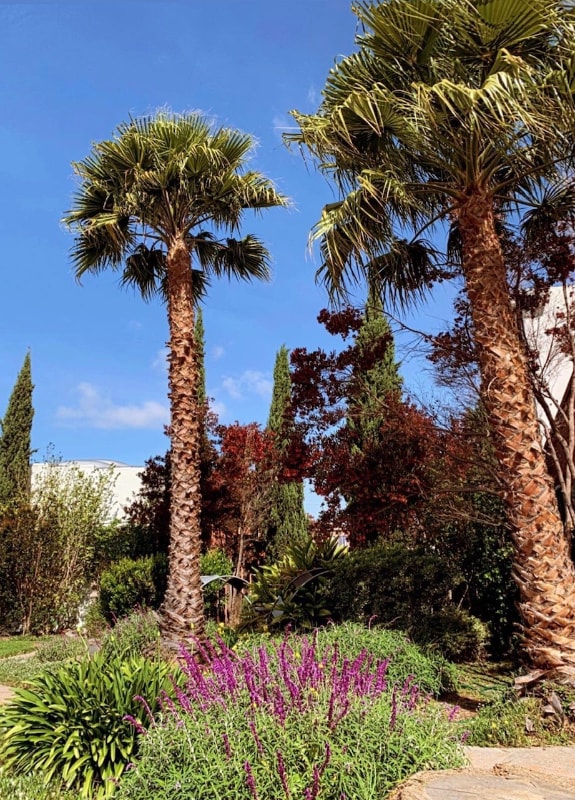 1501 37th Ave, Oakland, CA 94601 Condo for Rent in Oakland, CA