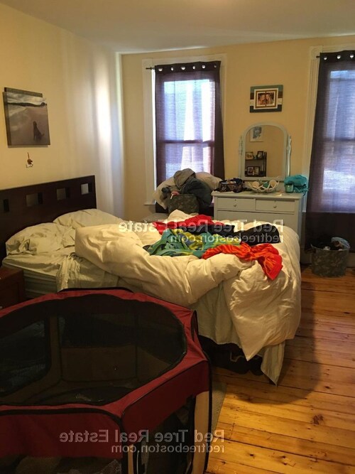 Foto principal - 438 Meridian St