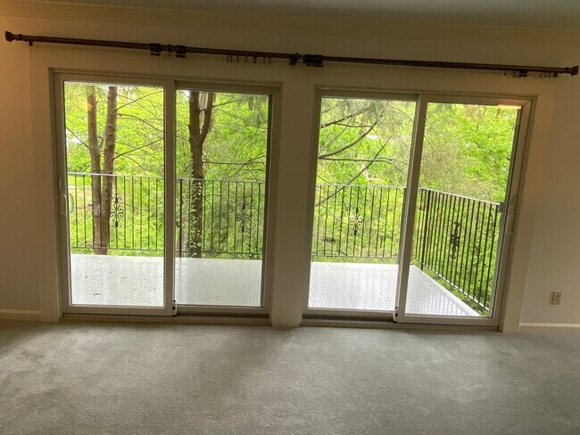 6x16 balcony overlooking park - 921 Prospect St