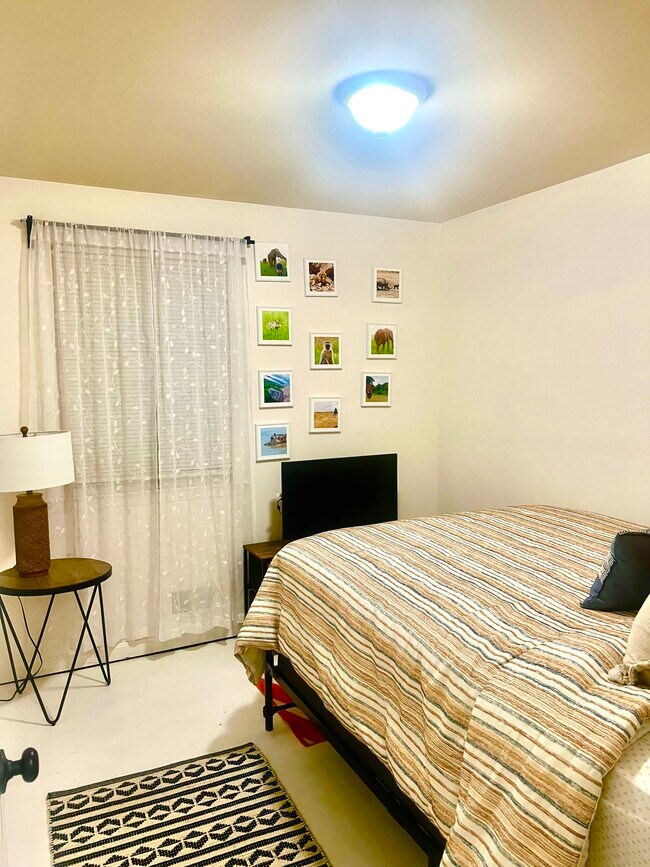 Foto del edificio - 4903 Ashford Dr