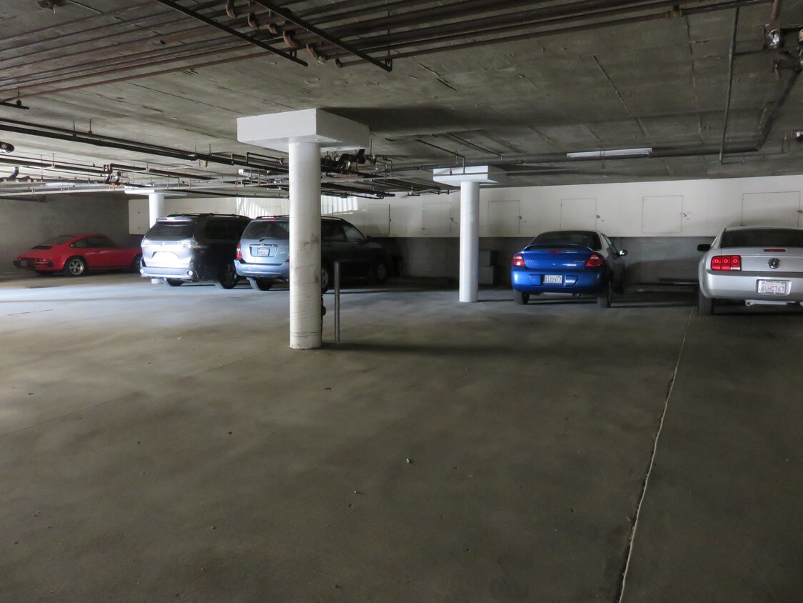 Foto del edificio - Shelby Expo Apts.