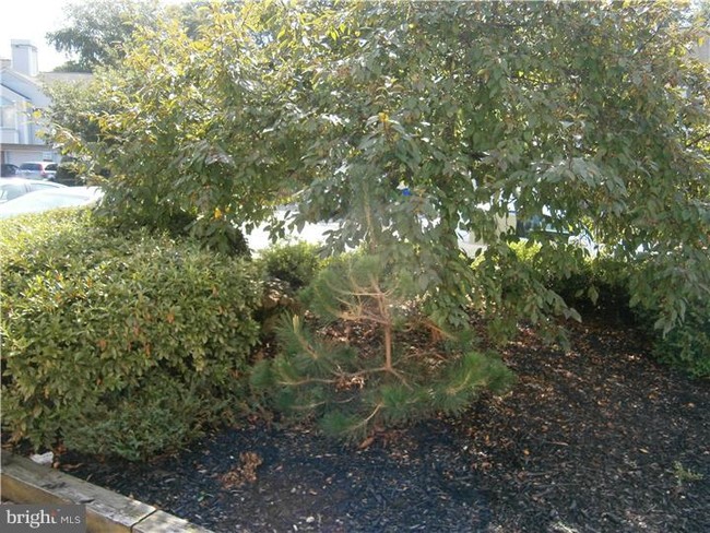 Building Photo - 2404 Creekside Dr