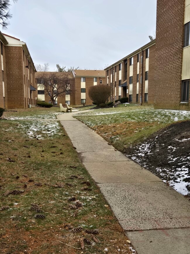 Building Photo - 9921 Bustleton Ave