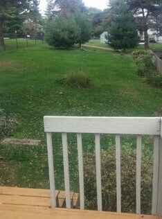 Foto del edificio - 7908 Briarwood Lane