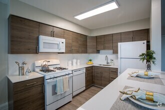 Chestnut Terrace Apartments photo'