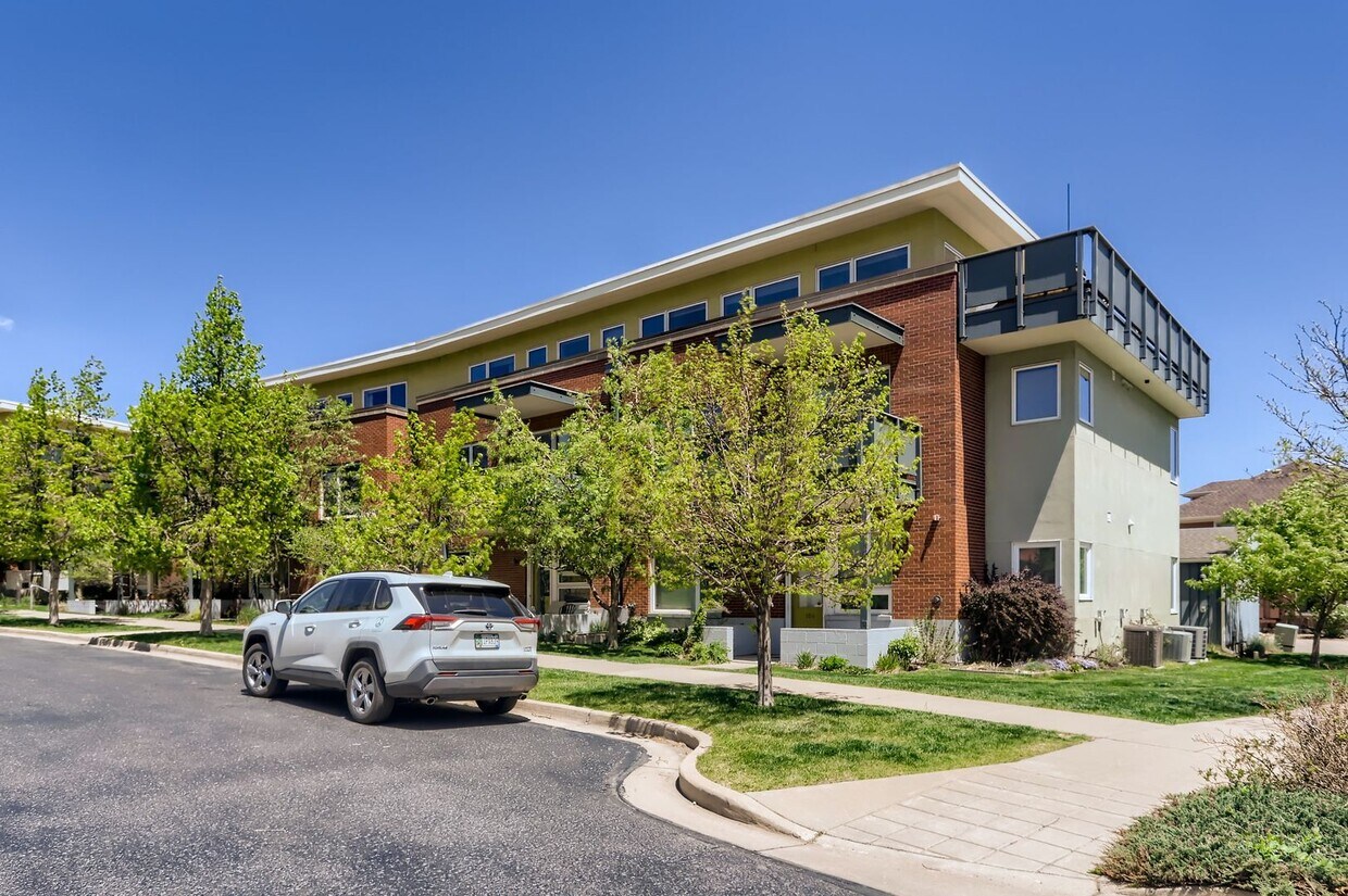 Primary Photo - Modern 1 BDR Condo in Holiday Neighborhood