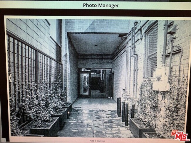 Foto del edificio - 914 N Fairfax Ave