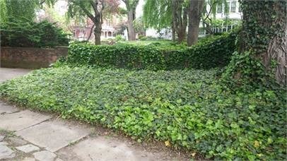 Foto del edificio - 634 Greenup St