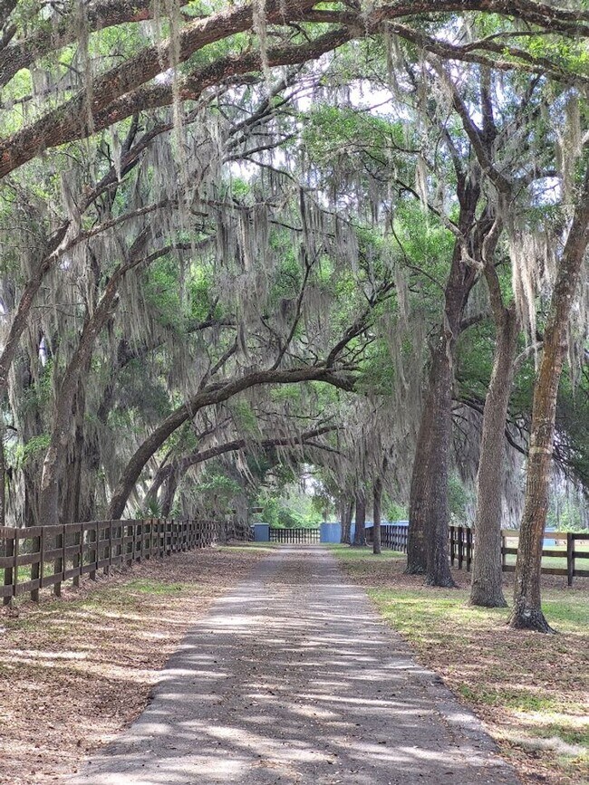 Foto del edificio - Little Lake Weir Waterfront FENCED 3BR/2BA on 6 Acres with Horse Barn, Private Boat Ramp & Dock