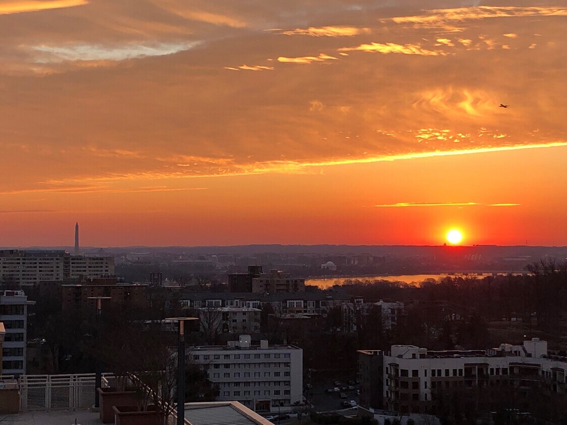 1301 N Courthouse Rd Unit 1406, Arlington, VA 22201 Condo for Rent in