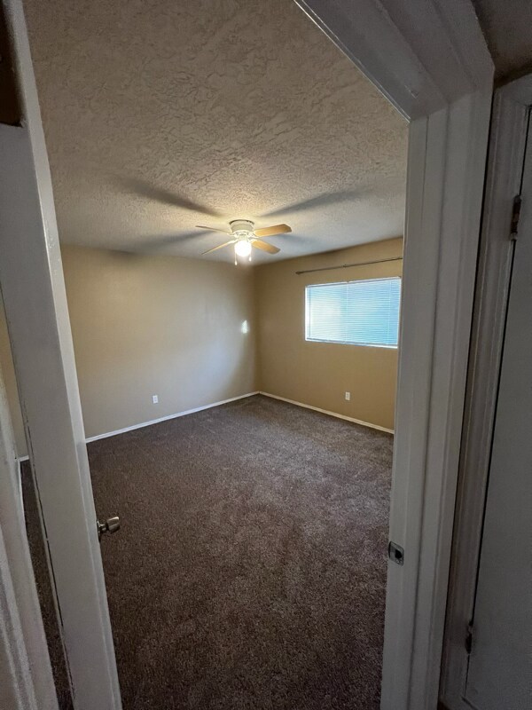 Foto del edificio - 337 Gorman Ave