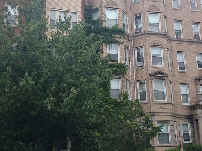 Foto del edificio - 1193 Boylston St