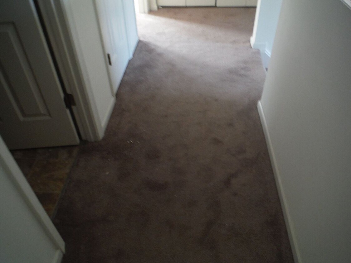 Foto principal - 206 Vivian Ct. Yorktown, Va. 23690,