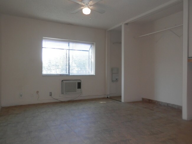 studio apt near usf rentals tampa fl apartments com