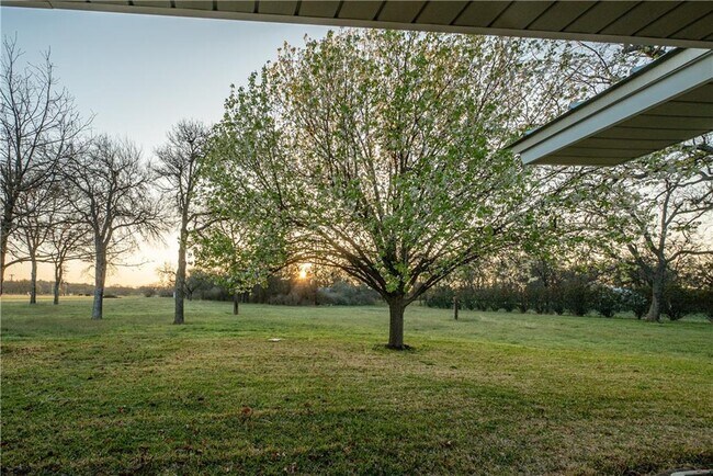 Building Photo - 701 Timber Ridge Rd