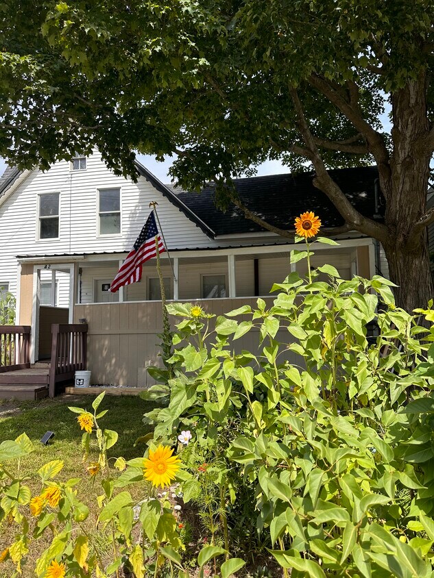 Primary Photo - 42 Mill St