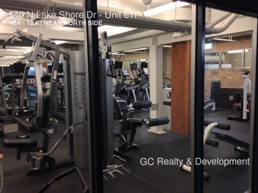 Building Photo - 540 N Lake Shore Dr