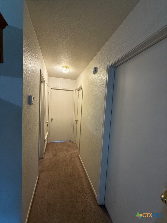 Building Photo - 4106 Wine Cup Rd
