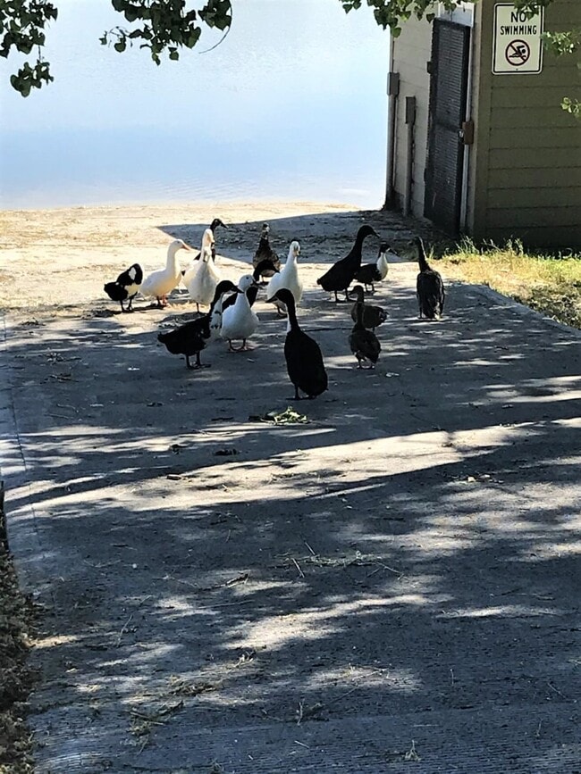 Building Photo - 26 Bing St N