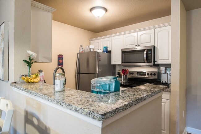 Building Photo - Oxford Terrace II: 4/4 luxury apartment just 3 blocks from UF & 1 block from Sorority Row. Now Re...
