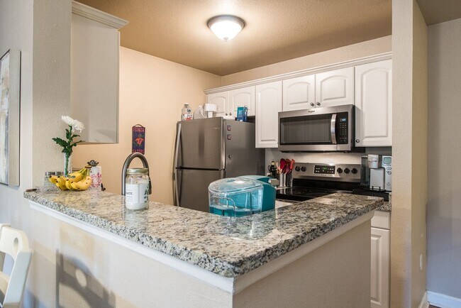 Foto del edificio - Oxford Terrace II: 4/4 luxury apartment just 3 blocks from UF & 1 block from Sorority Row. Now Re...