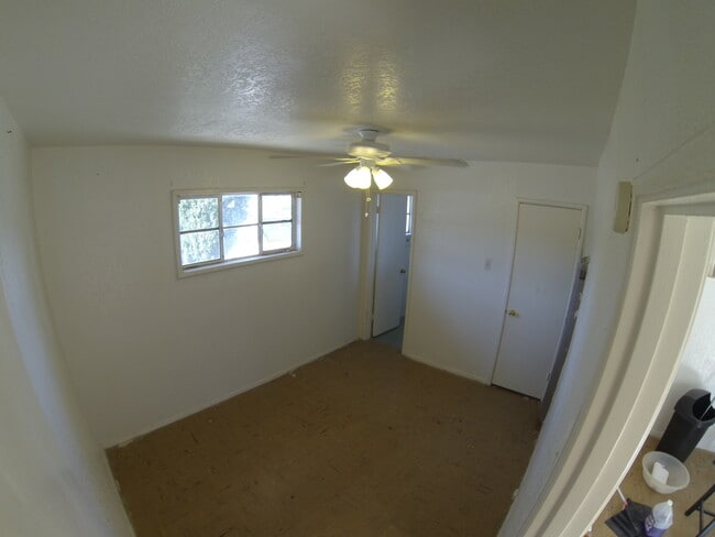 Building Photo - The Cozy Nest Apartments