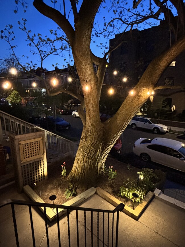 Foto del edificio - 3547 10th St NW