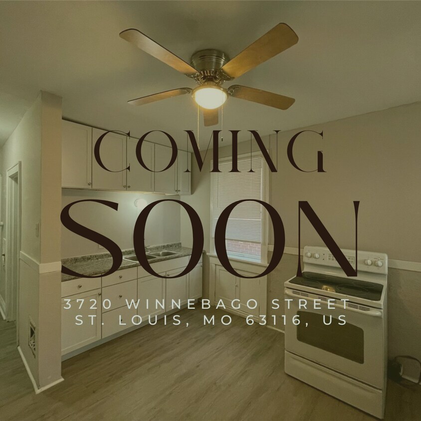 3720 Winnebago St Unit 1F, St. Louis, MO 63116 Room for Rent in St