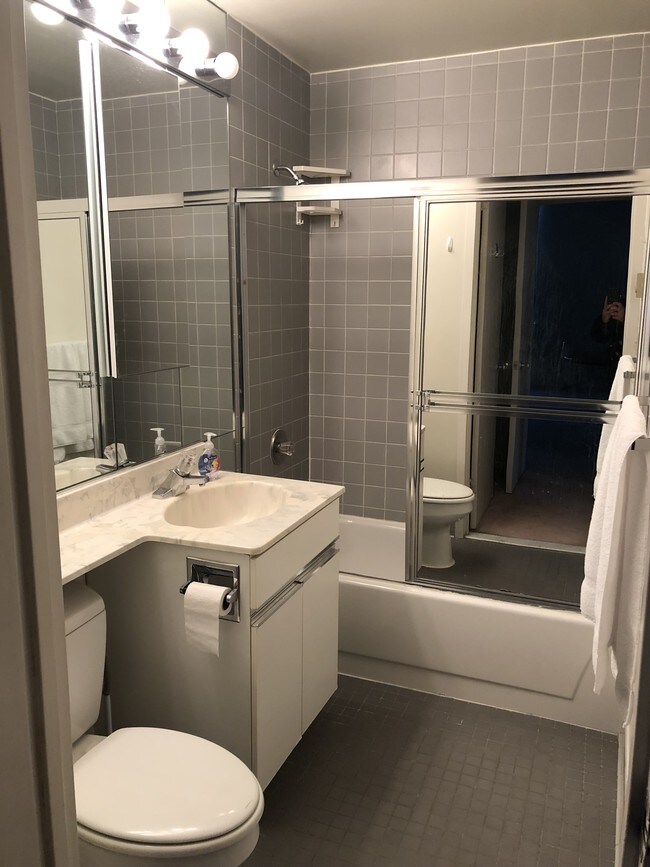 master bathroom - 111 Mulberry St