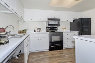 Interior Photo - Sahara and Playa Palms