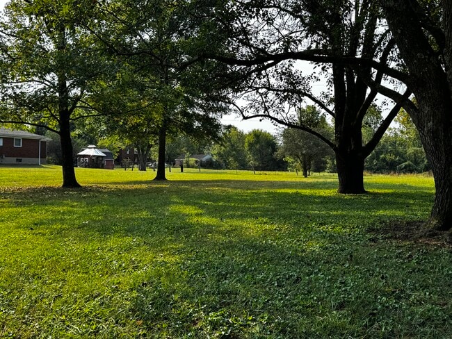 Front yard - 165 Humphrey Ln