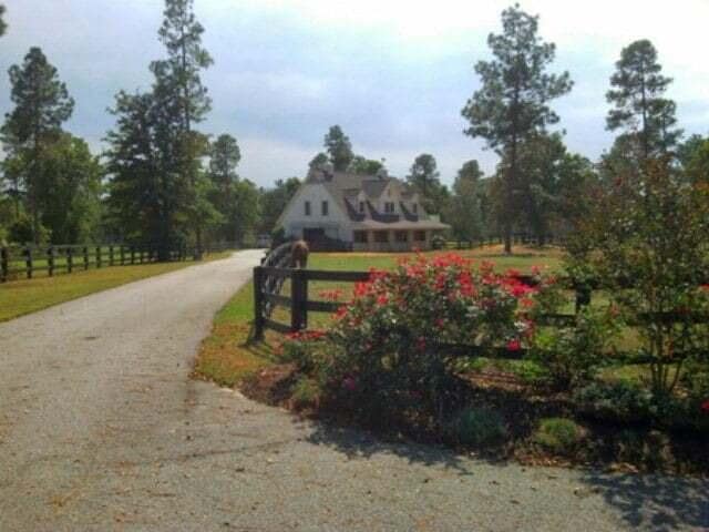 Primary Photo - 928 Shell Bluff Dr