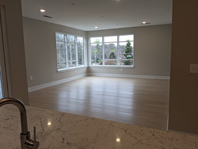 Large Living room - 318 E Chatham St