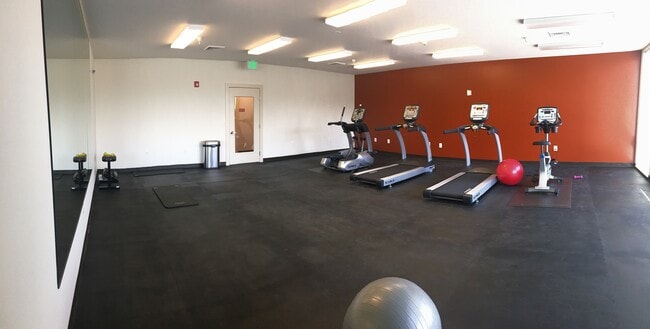 Gimnasia - City Arts 2