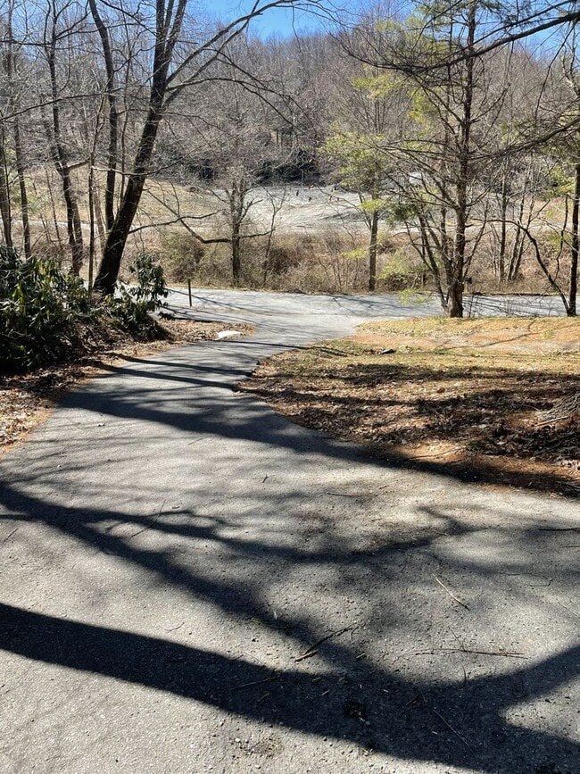 Foto del edificio - 224 Laurel Gap Ridge