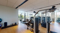 This professionally designed fitness center offers a spacious, single-level layout that accommodates a full spectrum of workout needs. The space is anchored by warm hardwood flooring throughout and a clean, contemporary aesthetic defined by white drop ceilings with recessed and track lighting that ensures even illumination across the entire floor.

Floor-to-ceiling glass curtain walls line multiple sides of the facility, flooding the interior with abundant natural light and framing sweeping views of the surrounding urban skyline, palm trees, and neighboring buildings. The transparency of the glass creates an open, airy atmosphere that enhances the workout experience. A connected outdoor terrace, visible through large sliding glass doors, provides additional space for outdoor exercise or relaxation.

The cardio zone features a full row of Life Fitness treadmills, upright stationary bikes, elliptical trainers, and stair climbers, all positioned to take advantage of the panoramic city views. The strength-training area is equally comprehensive, with a robust selection of Life Fitness selectorized machines, a power rack with weight plates and benches, cable systems, and free weights. A dedicated functional training zone includes stability balls and kettlebells. Large wall mirrors amplify the sense of space and allow for form monitoring throughout the facility.