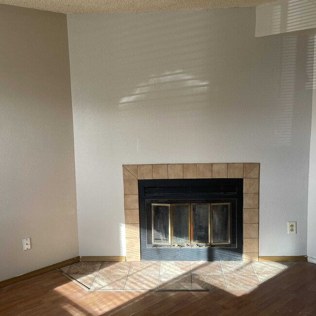 Fireplace - 2309 Split Rock Dr
