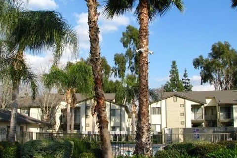 Exterior - Royal Palms