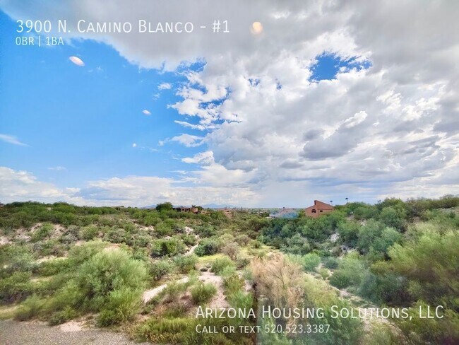 Building Photo - 3900 N Camino Blanco
