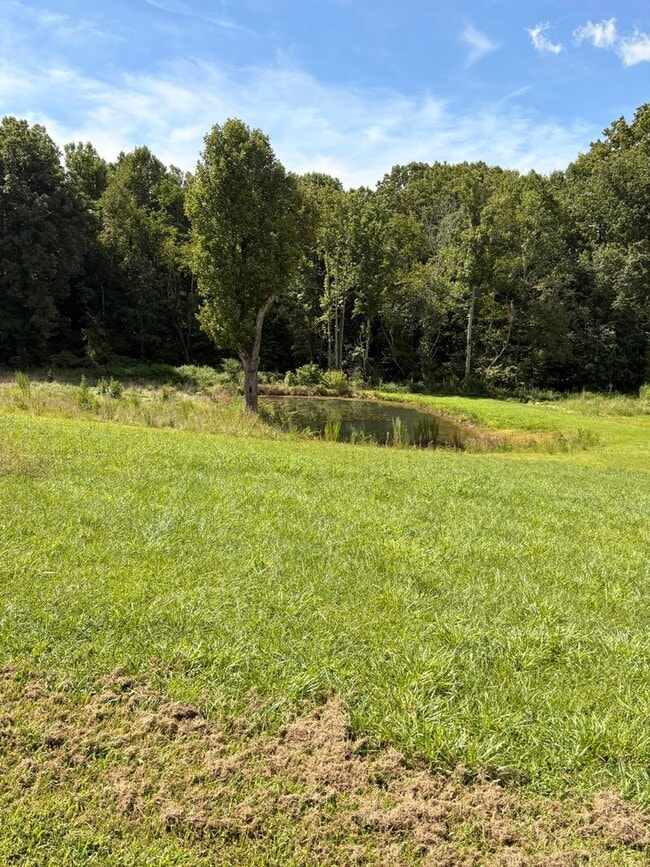Building Photo - Peaceful Country Living – 3 Bed / 2 Bath H...