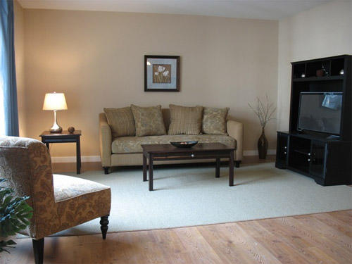 Living Area - Elm Street Apartments