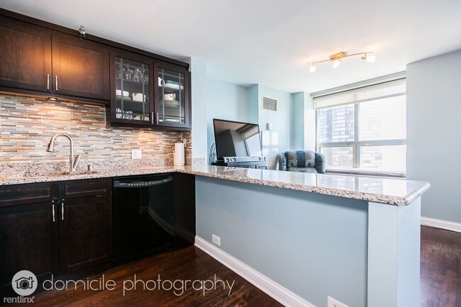 Building Photo - 1 br, 1 bath Condo - 474 N Lake Shore Dr