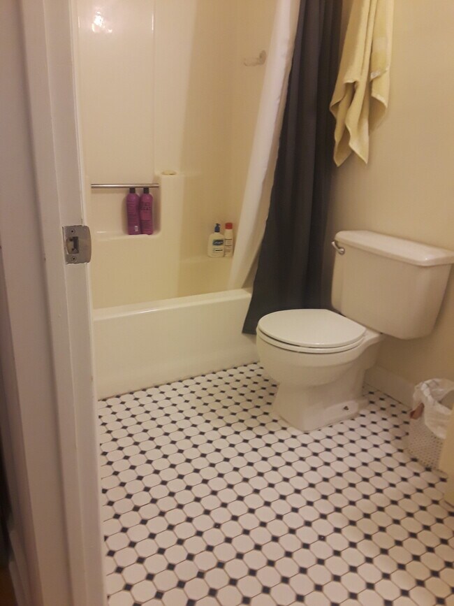 Bathroom - 32 Haviland St Apartment