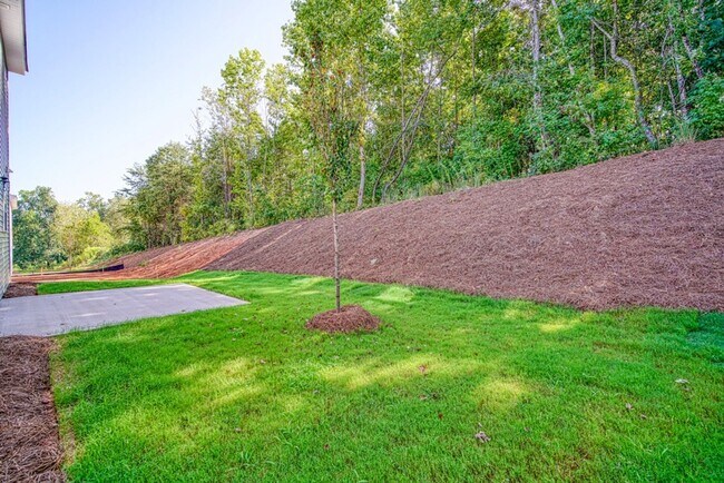 Building Photo - New Construction--4 BR, 2.5 BA, 2 Car Garage, Convenient to Shopping, Schools and I-85