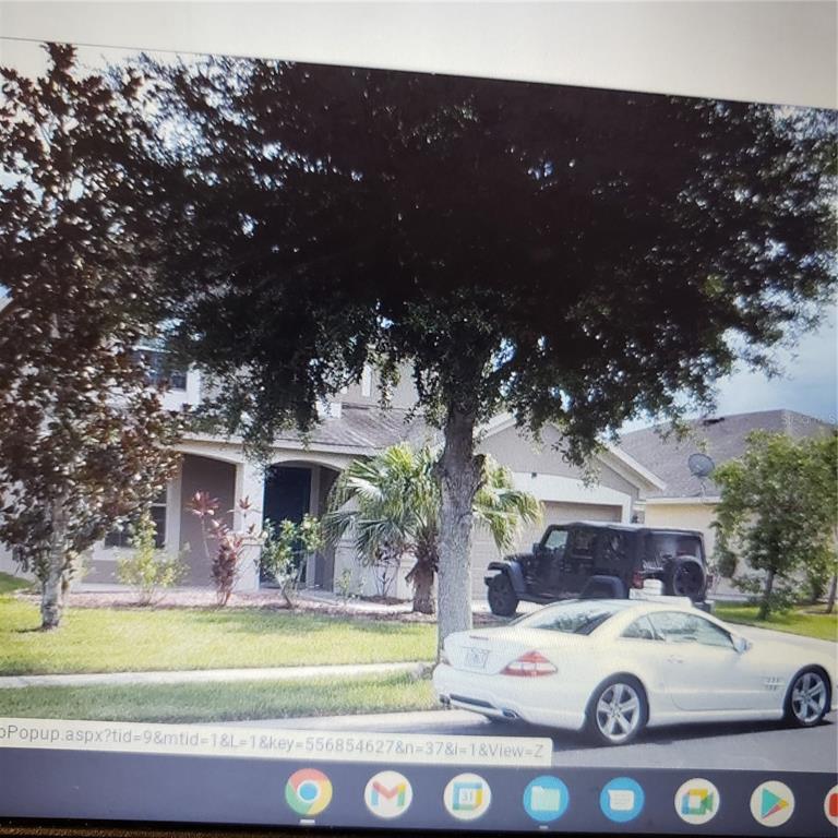 31132 Creekridge Dr, Wesley Chapel, FL 33543 House Rental in Wesley